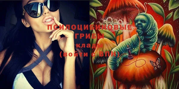 соль ск Алексин