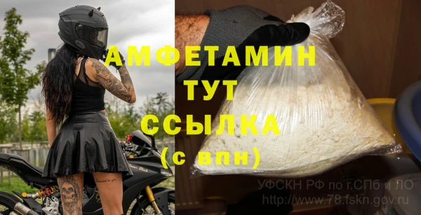 соль ск Алексин