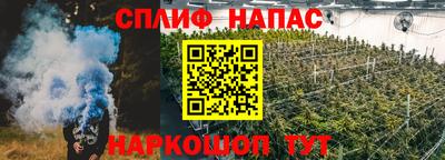 гашик Ипатово