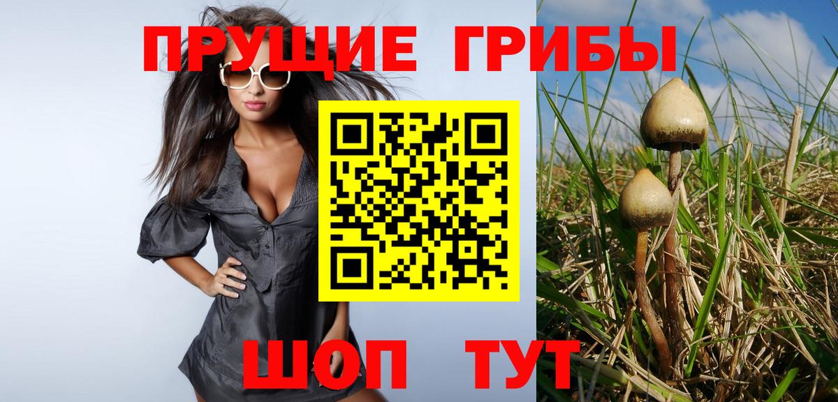 Сочи  Галлюциногенные грибы Magic Shrooms  Вход с VPN 