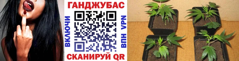 Каннабис SATIVA & INDICA  Сочи 